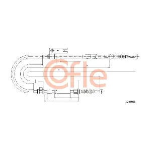 17.0601 COFLE