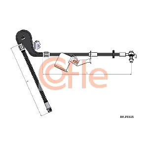 92.BH.PE021 COFLE