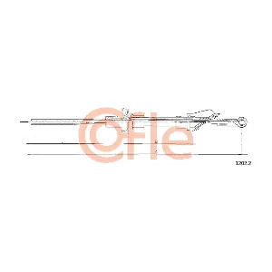 1202.2 COFLE
