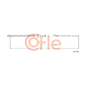 107134 COFLE