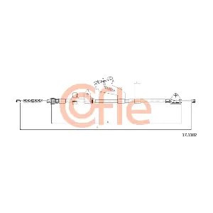 17.1102 COFLE