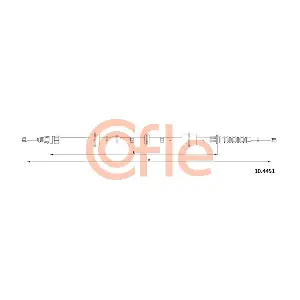 10.4451 COFLE