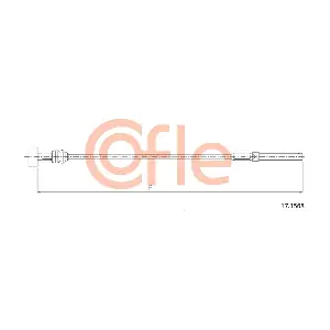 171568 COFLE