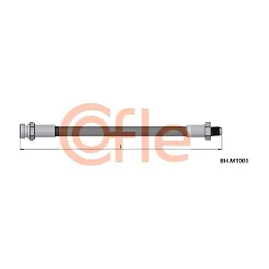 COFLE 92BHMT003