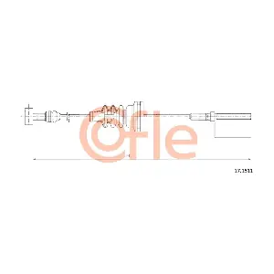 17.1511 COFLE