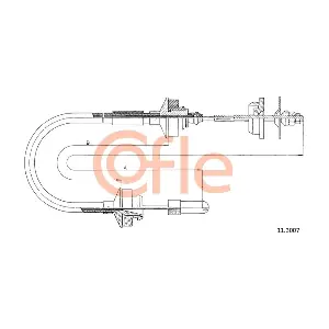 113007 COFLE