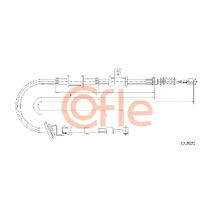 172029 COFLE