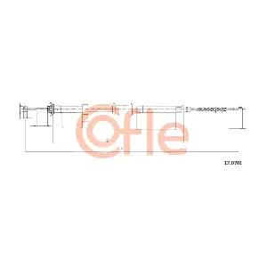12.0701 COFLE
