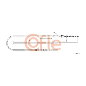 172813 COFLE