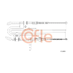 173006 COFLE