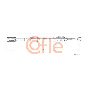 1171.3 COFLE