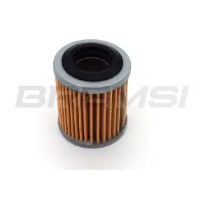 BREMSI FR2812