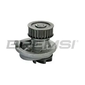 BREMSI WP0085