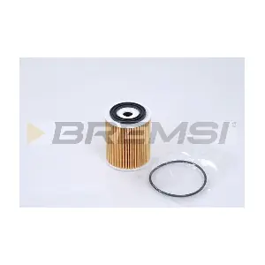FL0269 BREMSI