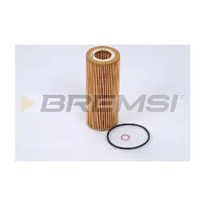 FL0276 BREMSI