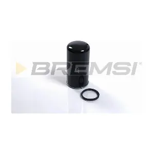 FE1493 BREMSI