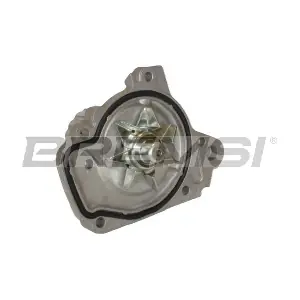 BREMSI WP0012