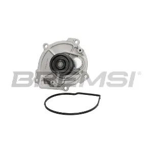 WP0243 BREMSI