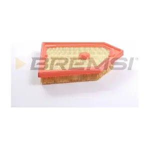 FA2489 BREMSI