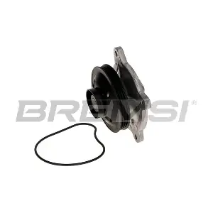 WP0399 BREMSI