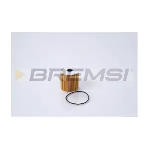 FL1290 BREMSI