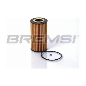FL1755 BREMSI