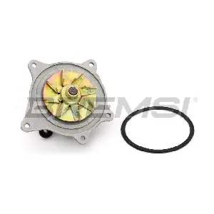 WP0557 BREMSI