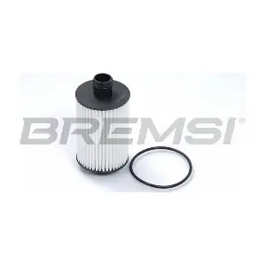FL0258 BREMSI