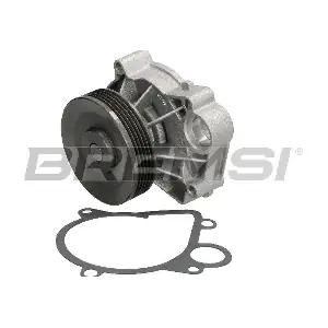 WP0332 BREMSI
