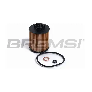 FL2487 BREMSI