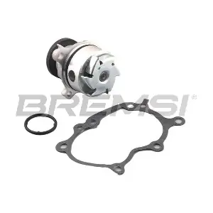 WP0527 BREMSI
