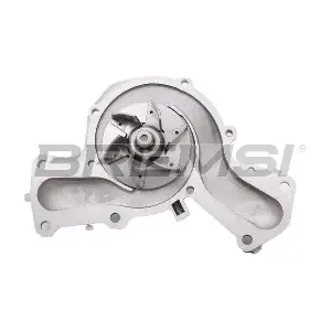 WP0507 BREMSI