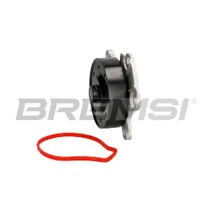 WP0432 BREMSI