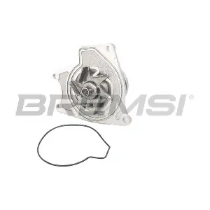 WP0201 BREMSI