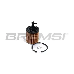 FL2507 BREMSI