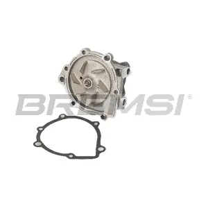 WP0541 BREMSI