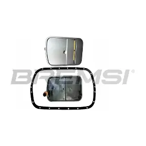 FR0667 BREMSI