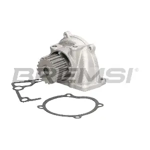 WP0034 BREMSI