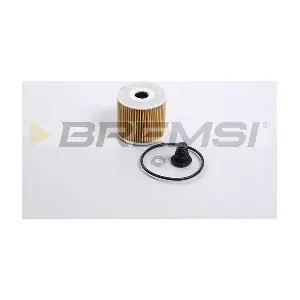FL2459 BREMSI