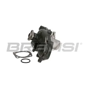 WP0180 BREMSI