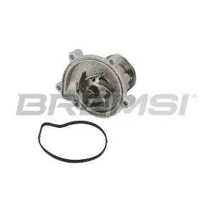 BREMSI WP0619
