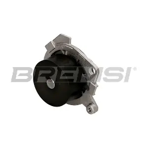 WP0098 BREMSI