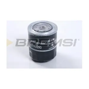 FL1293 BREMSI