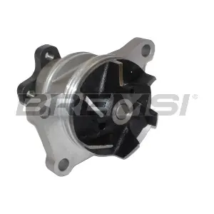 WP0547 BREMSI