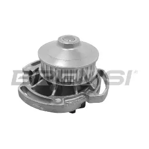BREMSI WP0062