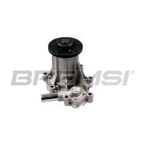 WP0266 BREMSI