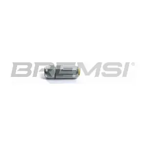 PV0061 BREMSI