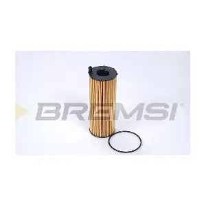 FL0275 BREMSI