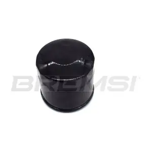 FR2744 BREMSI