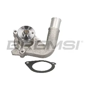 WP0009 BREMSI